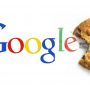 چطور کوکی های گوگل کروم Google Chrome را مشاهده یا حذف کنیم؟